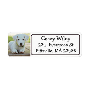 Personalised Pet or  Dog Address Label