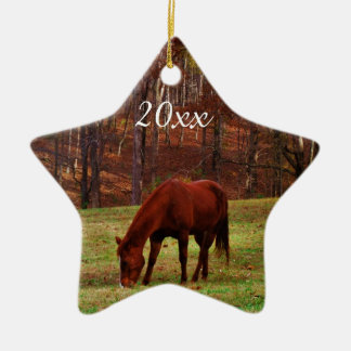 Personalised Pet or Horse Photo Year Christmas Ceramic Tree Decoration