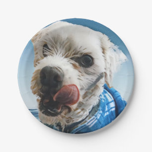 Personalised pet party paper plate, pet theme plate