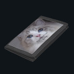 Personalised Pet Photo Best Ragdoll Cat Ever Trifold Wallet<br><div class="desc">This design features a beautiful blue-eyed Ragdoll cat photo and black typography. You can replace the photo with an image of your own cat or kitten. The sample text - Best Ragdoll Ever - can be edited to words of your own choice and a Name can also be provided. The...</div>