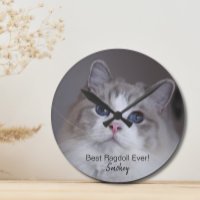Personalised Pet Photo Best Ragdoll Cat Wall Clock