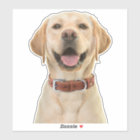 Personalised Pet Photo Car Window Sticker