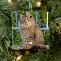 Personalised Pet Photo Cat Lover And Name