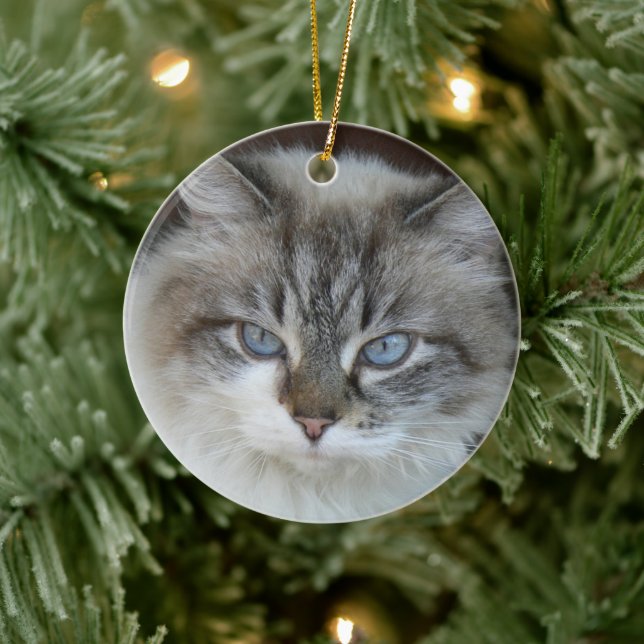 Personalised Pet Photo Cats and Catnip Silhouette Ceramic Tree Decoration (Tree)