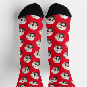 Personalised Pet Photo Christmas Present Socks