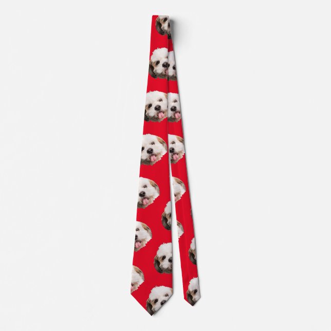 Personalised Pet Photo Christmas Present Socks Tie (Front)