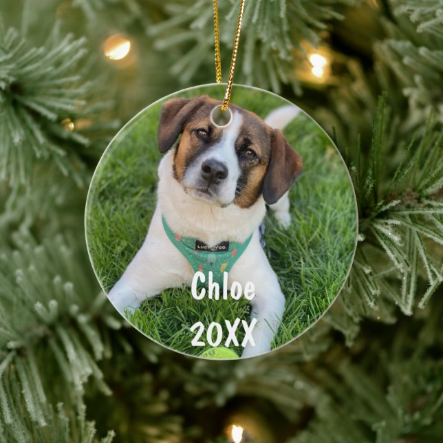 Personalised Pet Photo Christmas Tree Ornament (Tree)