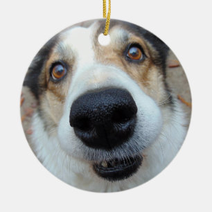 Personalised Pet Photo Dog Lover Custom Text Ceramic Tree Decoration