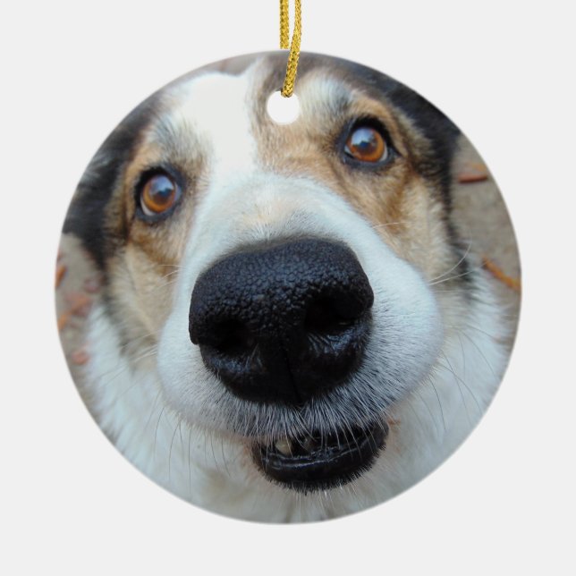 Personalised Pet Photo Dog Lover Custom Text  Ceramic Tree Decoration (Front)
