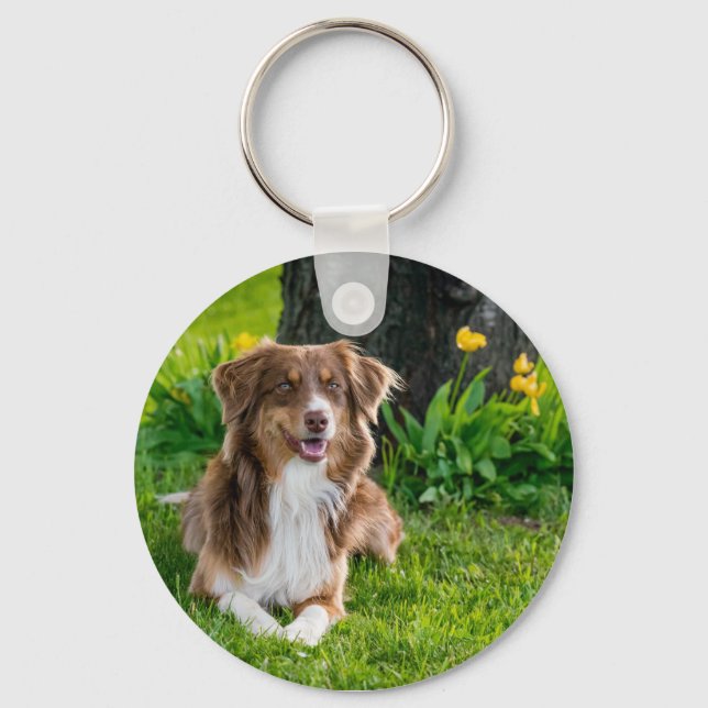 Personalised Pet Photo Dog Lover Keepsake Key Ring (Front)