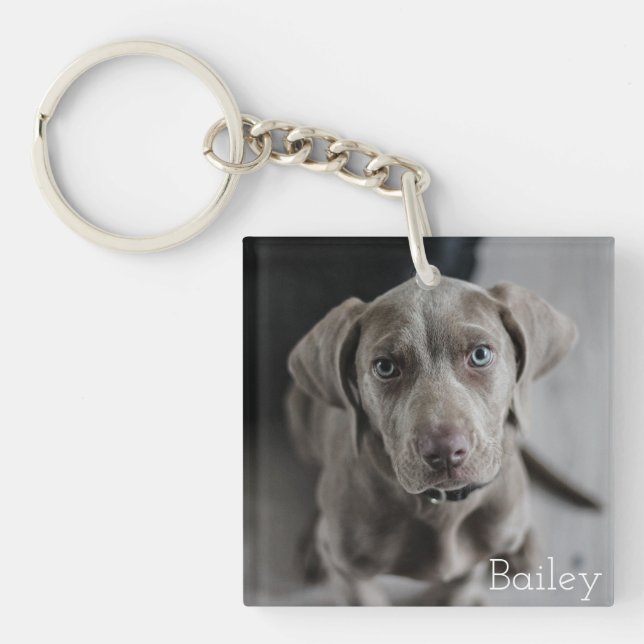 Personalised Pet Photo Dog Lover Keepsake Key Ring (Front)
