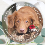 Personalised Pet Photo Engagement Dog Wedding  Classic Round Sticker<br><div class="desc">Add the finishing touch to your dog wedding save the dates with these custom photo, and personalised 'My Humans Are Getting Married... Save The Date' stickers. Customise with your favourite photo, names and date. These pet wedding dog save the date stickers are perfect for engagement party, save the date pet...</div>
