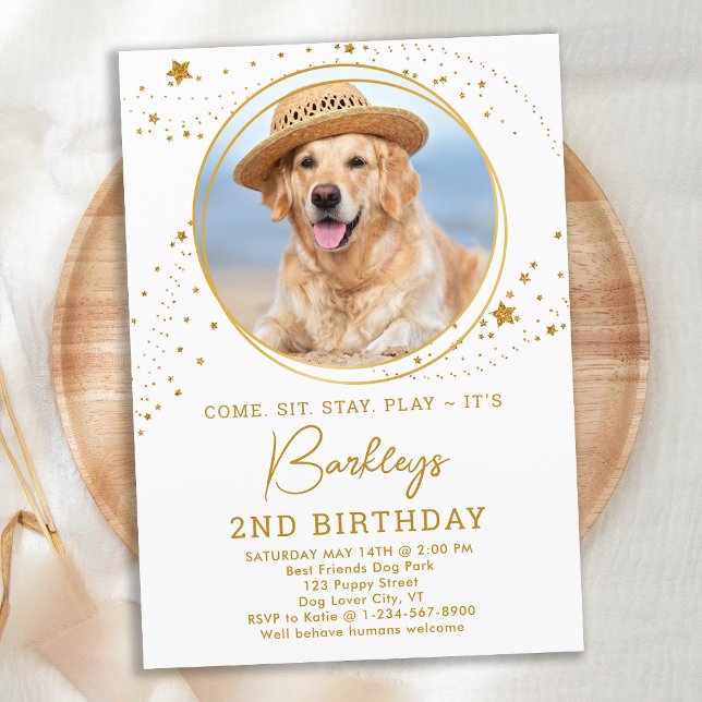 Personalised Pet Photo Gold Stars Dog Birthday  Invitation (Creator Uploaded)