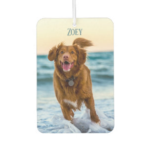 Personalised Pet Photo Keepsakes Gift Idea Car Air Freshener