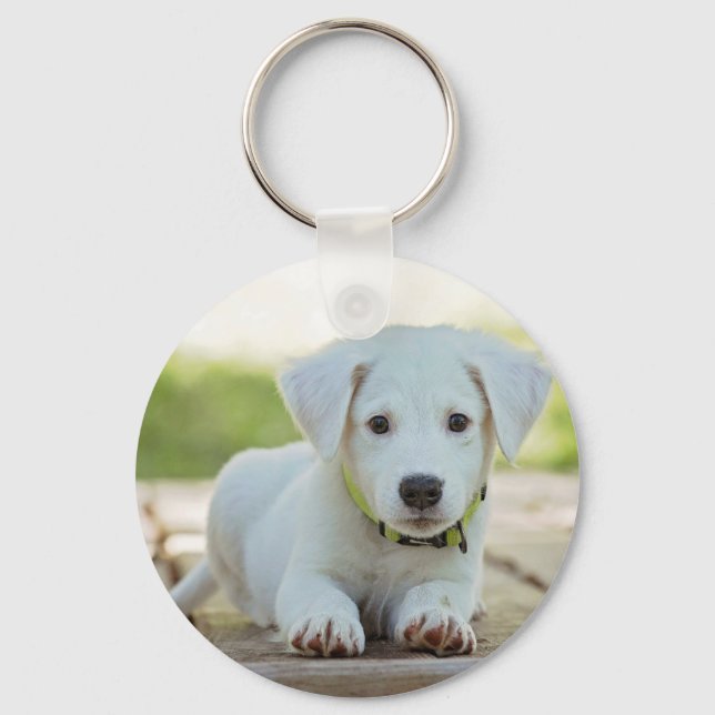 Personalised Pet Photo  Key Ring (Front)