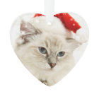 Personalised Pet Photo | Memorial Keepsake
