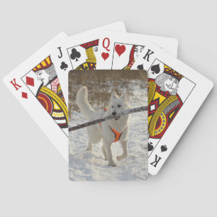 Personalised Pet Photo Playing Cards