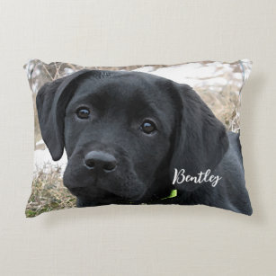 Personalised Pet Photo Simple Modern Dog Lover  Decorative Cushion