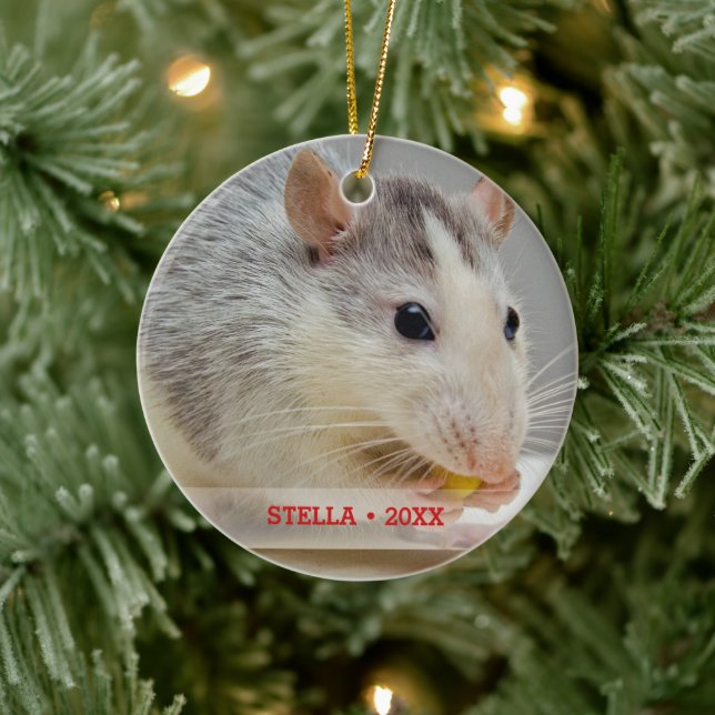 Personalised Pet Rat Photo & Name Christmas Tree Ceramic Tree Decoration (Tree)