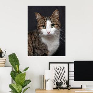 Personalised Pet Tabby Cat Single Photo Custom Poster