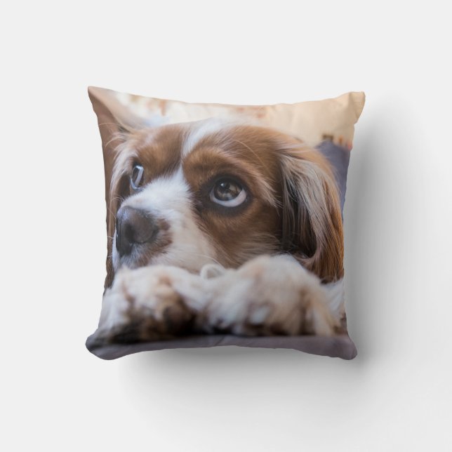 Personalised Pet Throw Pillow (Front)