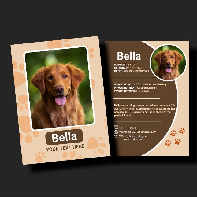 Personalised Pet Trading Card Birthday Gift (Creator Uploaded)