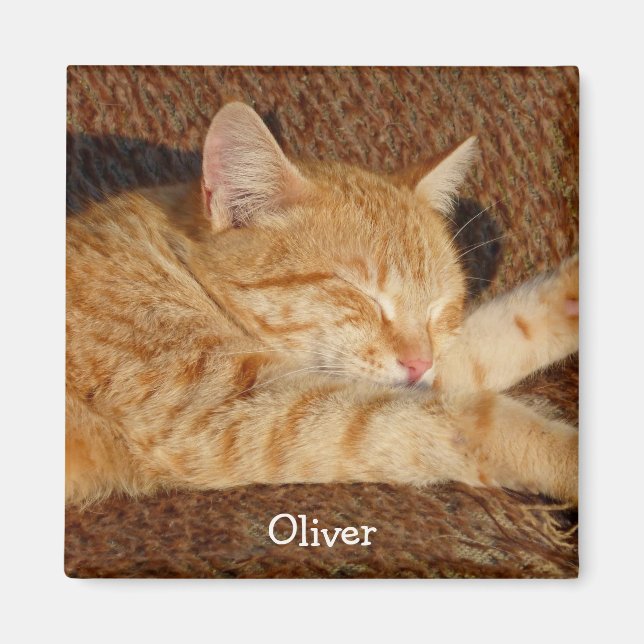 Personalised pet's photo magnet (Front)