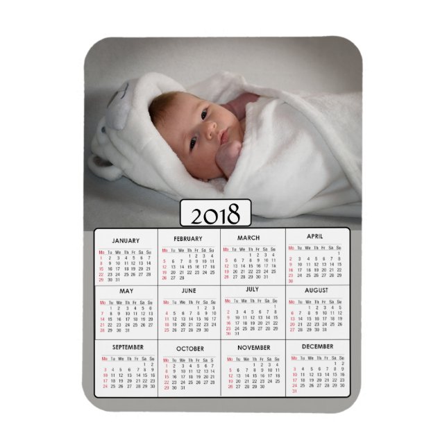 Personalised Photo 2018 Calendar Magnet (Vertical)