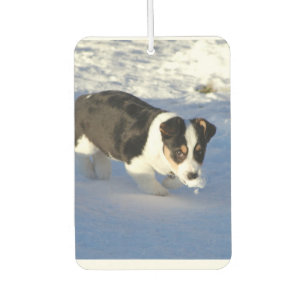 Personalised Photo Air Freshener