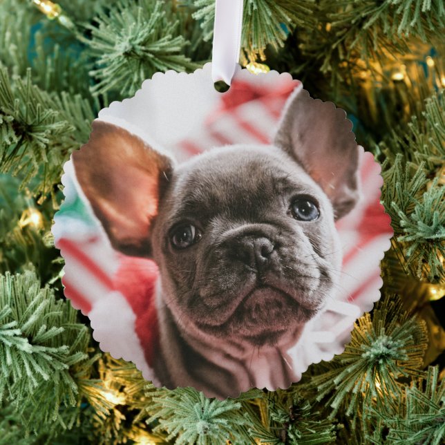 Personalised Photo and Text Christmas Tree Tree Decoration Card (Insitu (Tree))