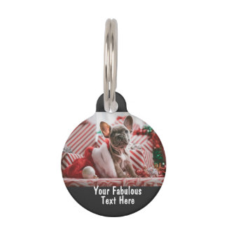 Personalised photo and text pet tag