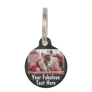 Personalised Photo and Text Pet Tag