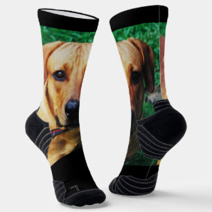 Personalised Photo Custom Crew Socks