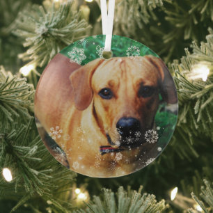 Personalised Photo Glass Christmas Tree Ornament