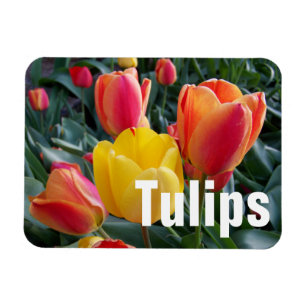 Personalised Photo Magnet