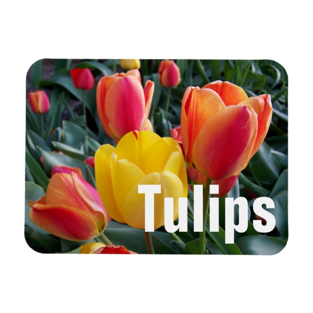 Personalised Photo Magnet (Horizontal)