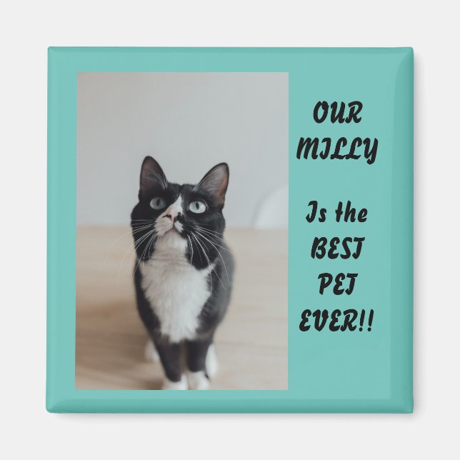 Personalised Photo Magnet Best Pet Ever (Front)