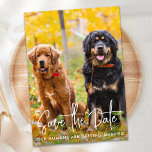 Personalised Photo Modern Script Pet Dog Wedding Save The Date<br><div class="desc">Let your Best Dogs or dog and cat announce your wedding with this super cute 'Save the Date ~ Our Humans Are Getting Married' pet dog save the date cards. Customise with your favourite photo, and personalise with names, date, and wedding location. This dog wedding announcement will be a hit...</div>