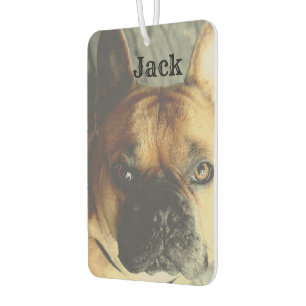 Personalised Photo Name Cute Dog Pet Car Air Freshener