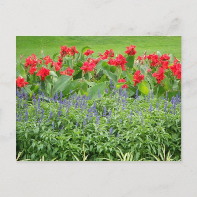 Personalised Photo Postcard (Front)