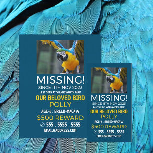 Personalised Photograph, Missing, Lost Pet Cards