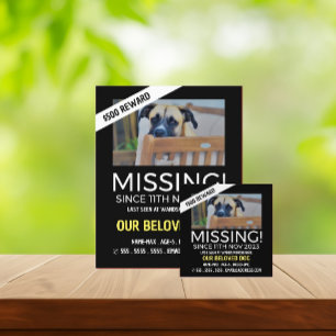 Personalised Photograph, Missing, Lost Pet Cards