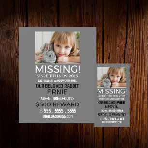 Personalised Photograph, Missing, Lost Pet Cards