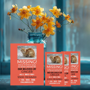 Personalised Photograph, Missing, Lost Pet Flyer