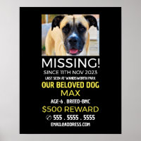 Personalised Photograph, Missing, Lost Pet