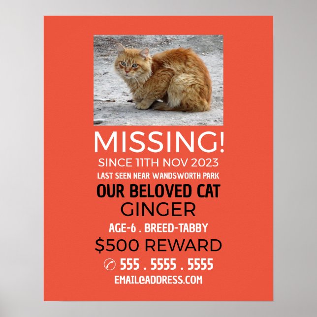 Personalised Photograph, Missing, Lost Pet Poster (Front)