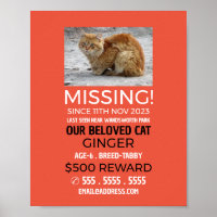 Personalised Photograph, Missing, Lost Pet