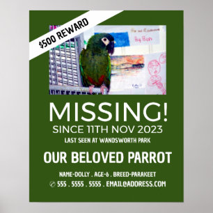 Personalised Photograph, Missing, Lost Pet Poster