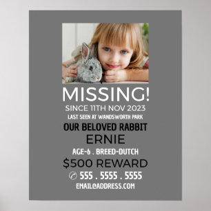Personalised Photograph, Missing, Lost Pet Poster
