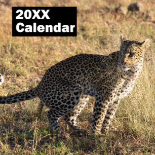 Personalised Pooping Animals Calendar 2025